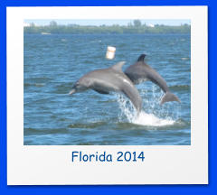 Florida 2014